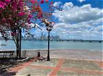 Discover the Heart of Panama City: Las Catalinas Mall