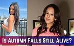 Discover the Height of Autumn Falls