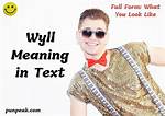 Discover the Meaning of "Wyll" in Text: Uncovering the Acronym's True Nature