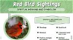 Discover the Profound Spiritual Significance of Birds