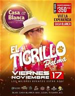 Discover the Secrets Behind El Tigrillo Palma's Age