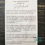 Discover the Unbreakable Bond and Success Story of Ashley Flowers and Husband Erik Hudak