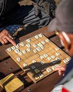 Discoveries and Insights for Stylesavvy Shogi Players