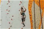 Discoveries and Insights for the Climbing Enthusiast