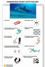 Discoveries and Insights for the Legally Curious
