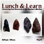 Discoveries and Insights from the Museum