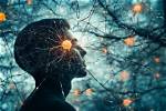 Discoveries and Insights in Synaptic Therapies: Beaudesert Photos