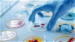 Discoveries and Insights That Reshaped Microbiology