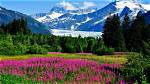 Discoveries in the Alaskan Wilderness
