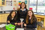 Discovering the Excellence of Bellingham Academy
