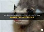 Discovering the Hilarious World of Funny Named Colors