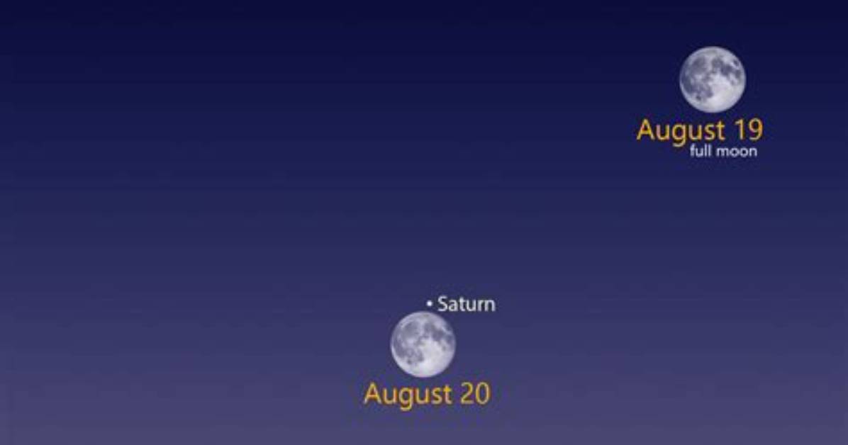 Discovering the Mystique of August 21 Star Sign