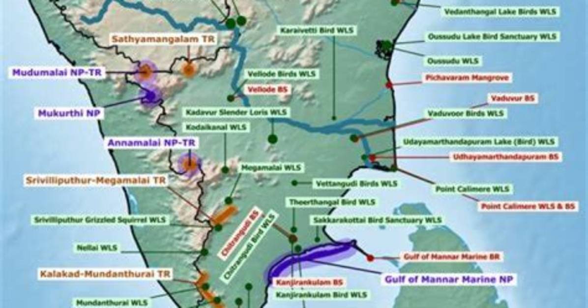 Discovering the Origins: Where Did Annamalai Born?
