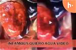 Discovering the Quiero Agua Video Original Video: a Deep Dive