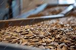Discovering the Whole30 Sunflower Seeds Factory: a Journey to Health