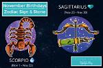 Discovering the Zodiac: What Sign Is Nov 20?