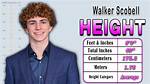 Discovering Walker Scobell's Height: a Comprehensive Guide