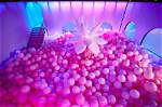 Dive into the Quirky Bubble House of Patrick Star: an Underwater Adventure