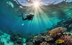 Dive into the World of Photography with Sunao Adelstein, Master Lensman
