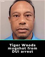 Dui Charges and Mugshot |