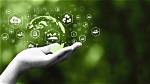Eco-Conscious Insights for the Soul