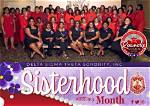 Embarking on the Journey: Delta Sigma Theta Rush 2024