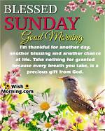 Embracing Serenity: Sunday Morning Quotes and Blessings