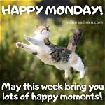Embracing the Laughter: Happy Monday Funny