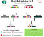 Ethnicity, Family, and Beliefs Revealed