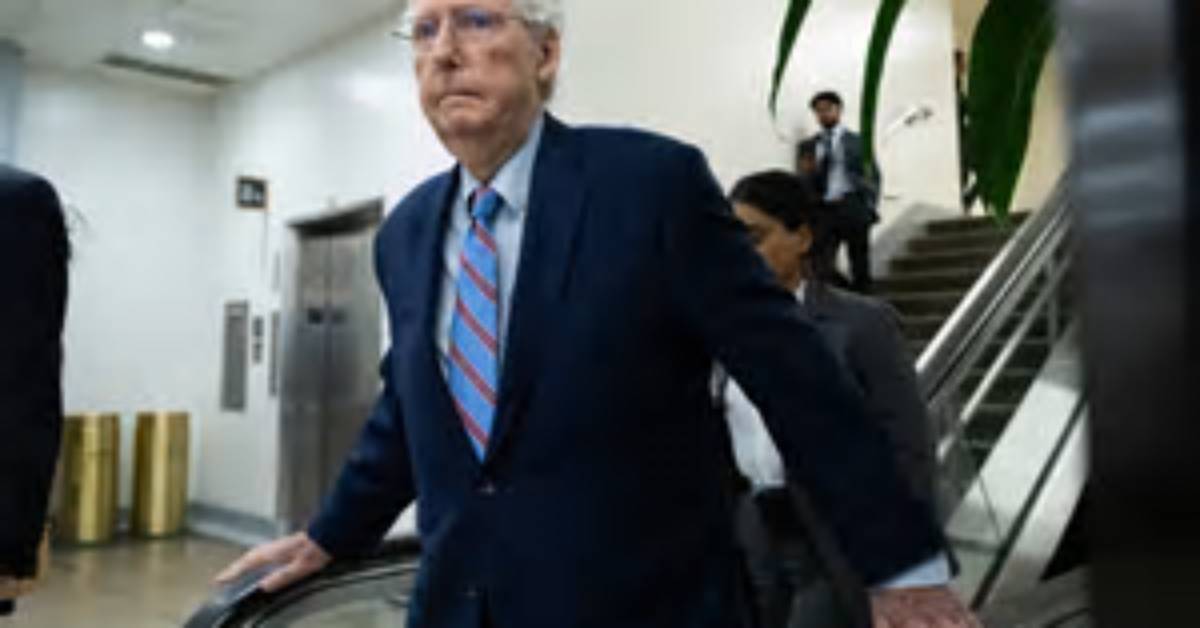 Everything to Know About Connecticut Senator |