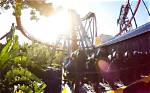 Exploring Fat Friendly Rides at Busch Gardens Williamsburg