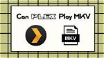 Exploring the Compatibility of Plex with Mkv Files