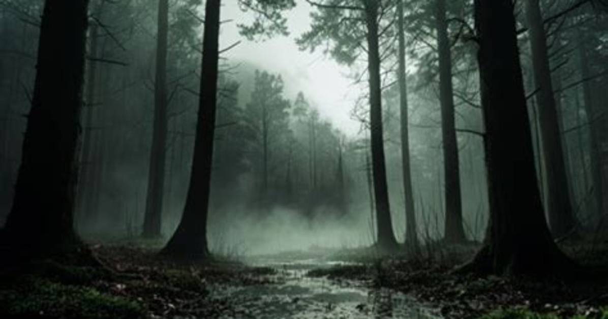 Exploring the Eerie World of Heidi Wong Horror Movies