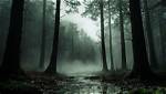Exploring the Eerie World of Heidi Wong Horror Movies