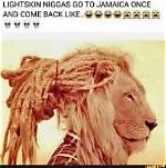 Exploring the Evolution of the Niggas Meme: from Origins to Social Commentary