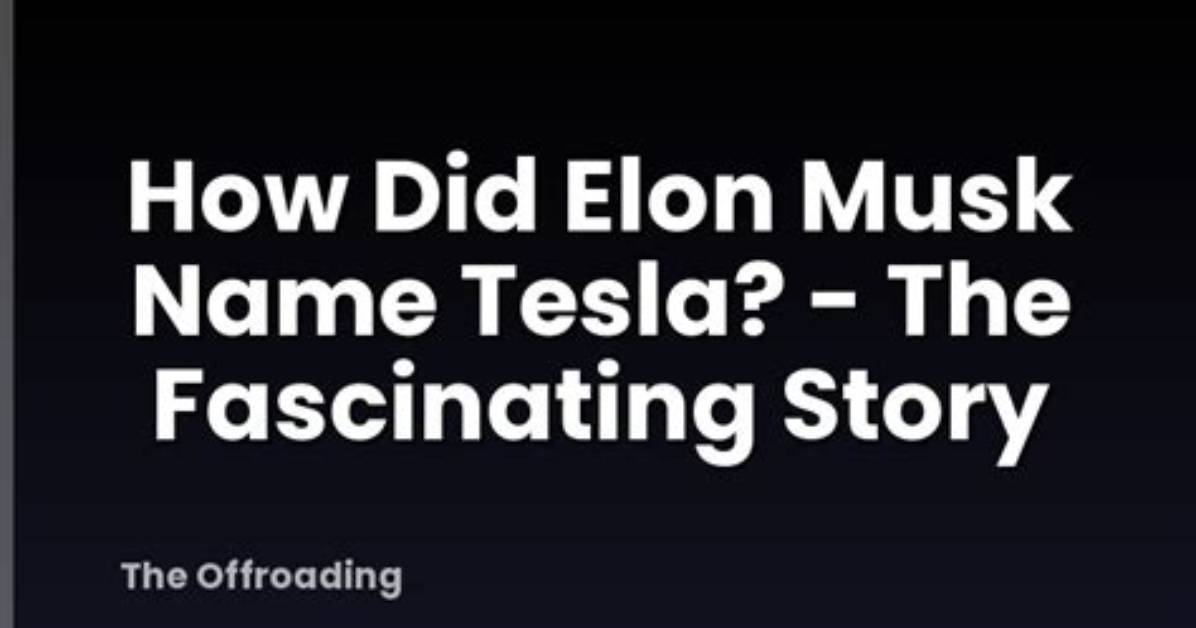 Exploring the Fascinating World of Elon Musk's Height