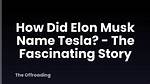 Exploring the Fascinating World of Elon Musk's Boat