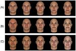 Exploring the Fascination of Face Evaluation with Prettyscale. Com