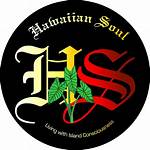 Exploring the Heart and Soul of Hawaiian Popular Songs