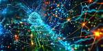 Exploring the Intricacies of the Devido Network