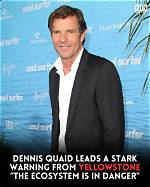 Exploring the Intriguing Landscape of Dennis Quaid Relationships