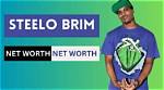 Exploring the Intriguing World of Steelo Brim's Family