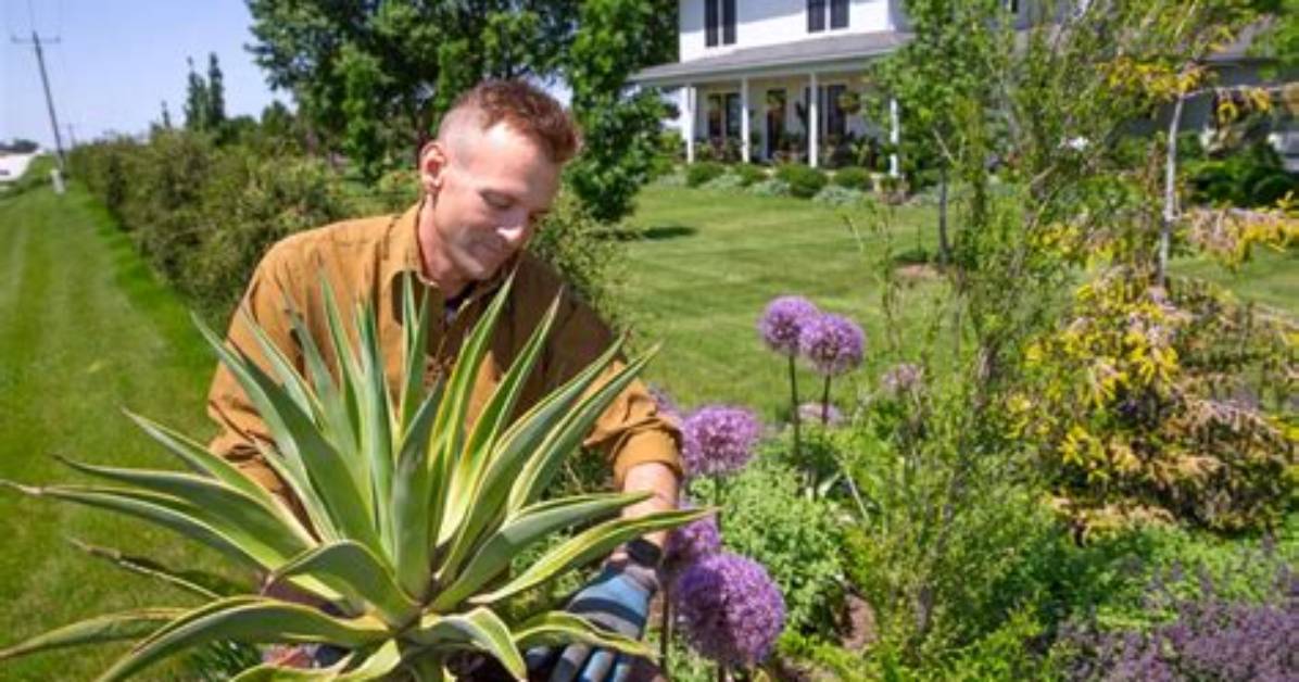 Exploring the Life of Joel Kratzer: Kaleb Wyse's Husband