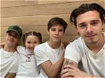 Exploring the Lives of the Beckham Kids