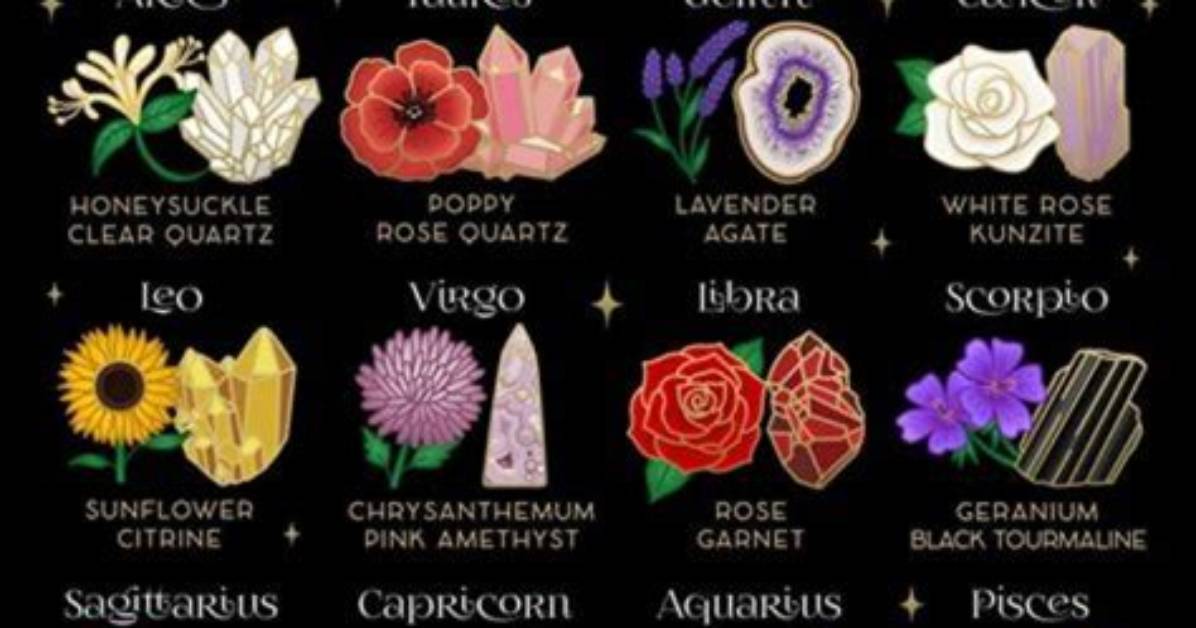 Exploring the Mystique of the Astrological Sign for November 20