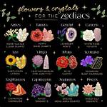 Exploring the Mystique of the Star Sign July 14
