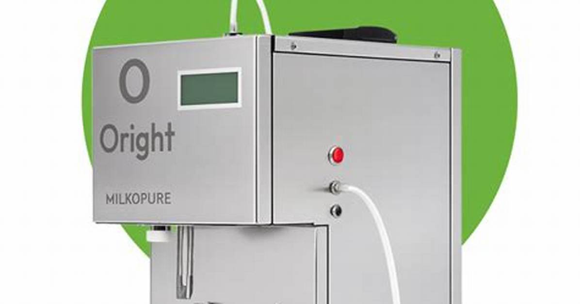 Exploring the Phenomenon of "Oright Oright Oright": an in-Depth Analysis