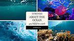 Exploring the Vast Ocean of Movies: a Cinematic Journey
