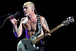 Exploring the Vibrant World of Flea (Musician) Music Groups