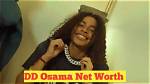 Exploring the Wealth of Dd Osama: What Is Dd Osama Net Worth?